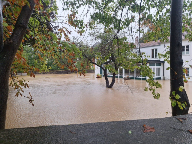 Foto: Thomas Lenger, Monatrevue