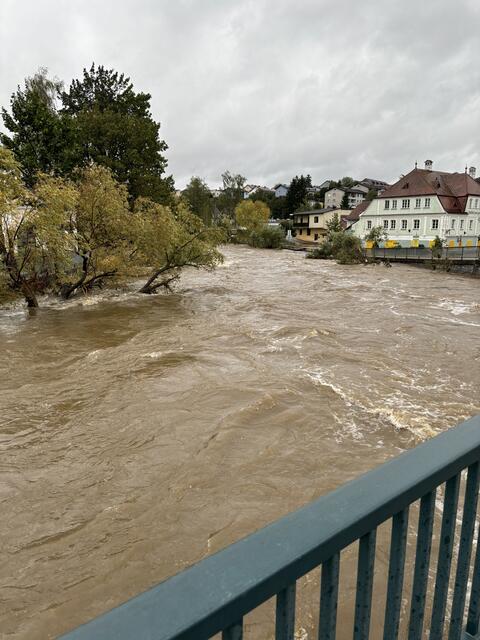 Foto: Bernhard Schabauer