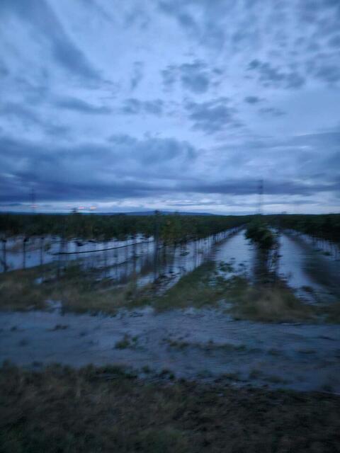 Das Wasser aus der Piesting wurde in die Felder abgeleitet | Foto: Gemeinde Teesdorf