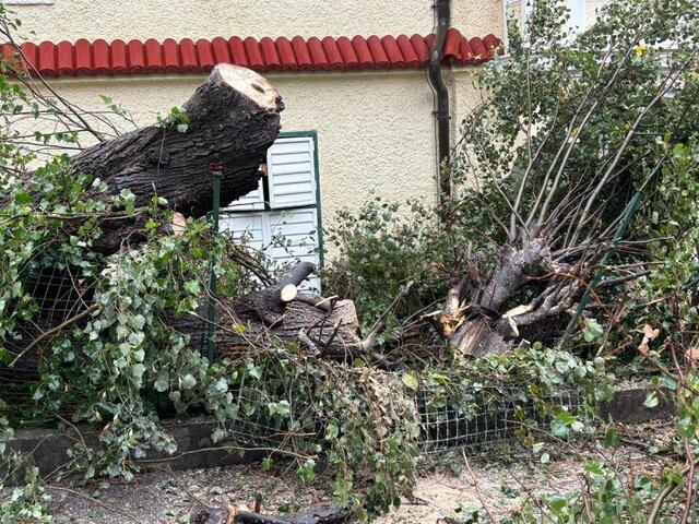 Sturmschaden in Baden. | Foto: Freiwillige Feuerwehr Baden-Stadt 