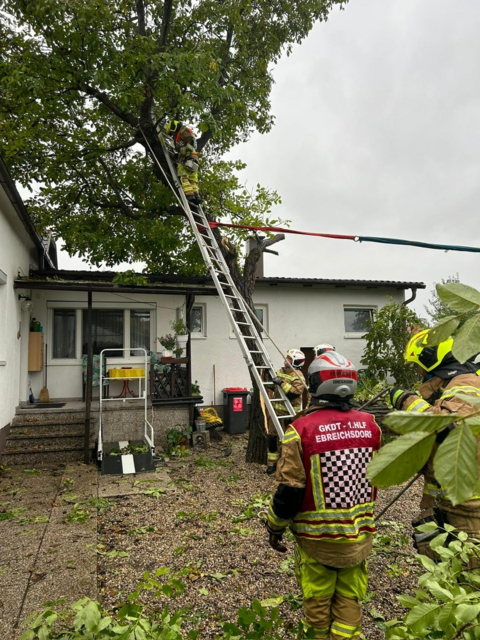 Foto: Thomas Lenger, Monatrevue