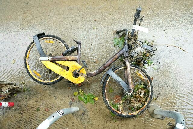 Foto: GEORG HOCHMUTH / APA / picturedesk.com 