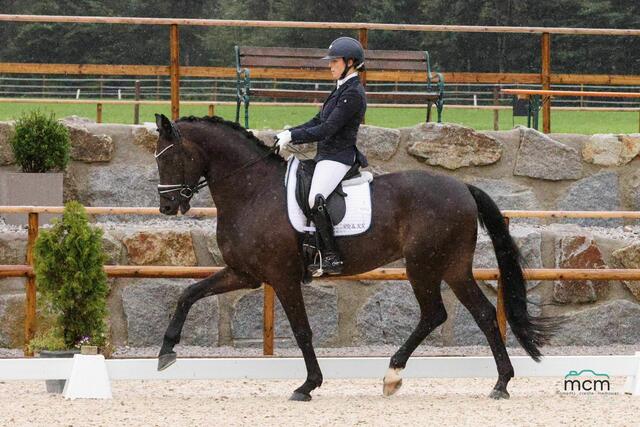 Kerstin Kronaus bei der Dressurprüfung. | Foto: MCM