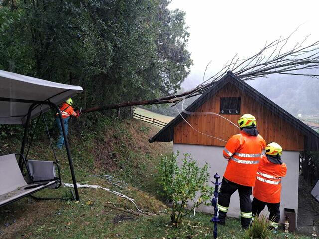Foto: EHBI Christian Teis, BFKDO Lilienfeld