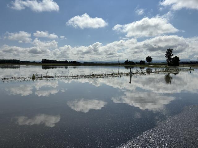 Foto: Martina Schweller