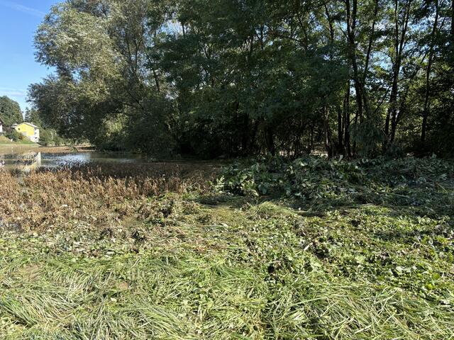 Foto: Martina Schweller