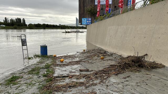 Foto: Kathrin Klemm/MeinBezirk