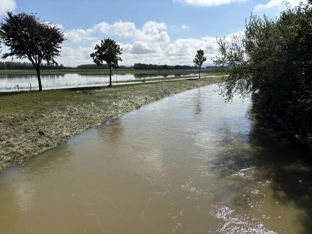 Foto: Martina Schweller