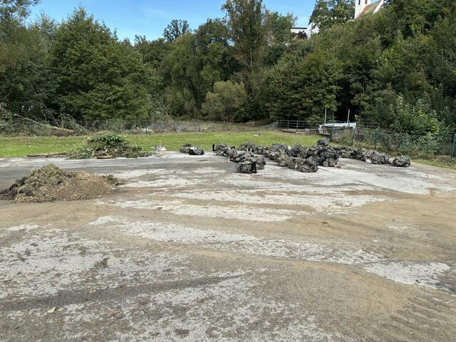 Foto: Bernhard Schabauer