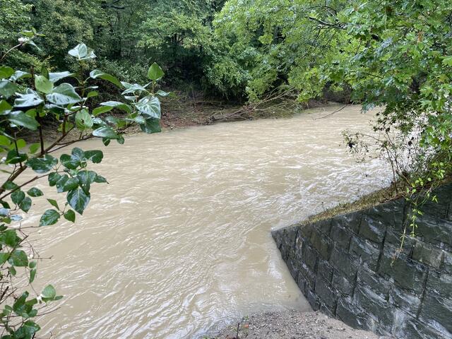 Foto: Stadtgemeinde Purkersdorf