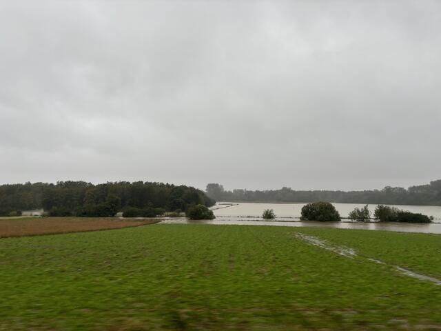 Foto: Martina Schweller