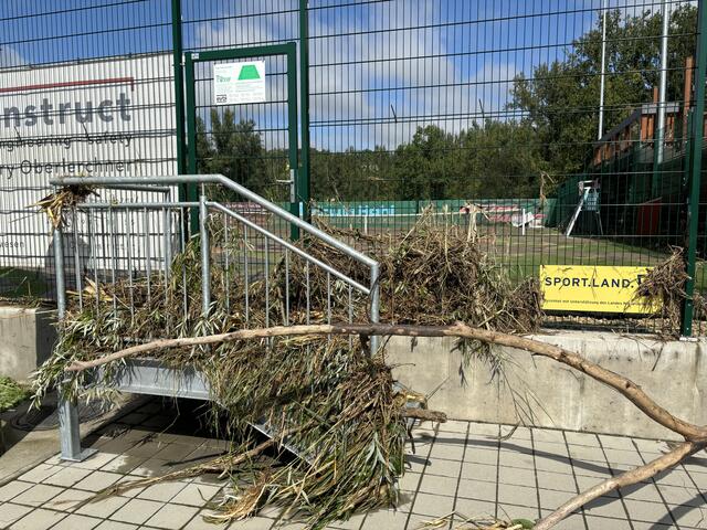 Foto: Martina Schweller