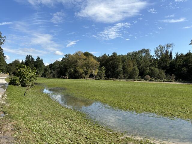 Foto: Martina Schweller