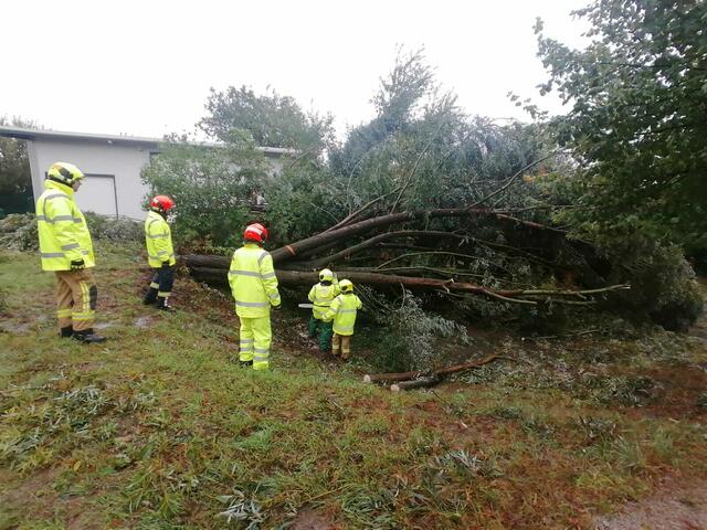 Foto: Freiwillige Feuerwehr Mistelbach-Stadt / Benjamin Hymer