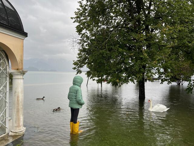 Das Ufer des Mondsees stand unter Wasser.  | Foto: MeinBezirk