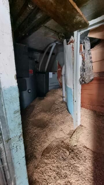 Foto: FF Feistritz im Rosental