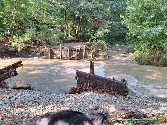 Die Brücke wurde weggeschwemmt. Das ÖGV-Vereinshaus in der Mauerbachstraße 53 ist abgeschottet.  | Foto: Schöner