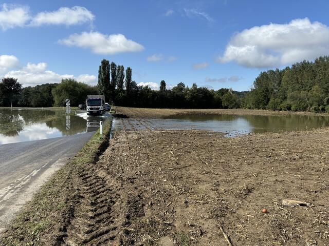 Foto: Martina Schweller