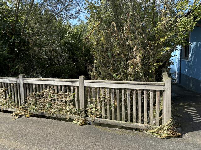 Foto: Martina Schweller