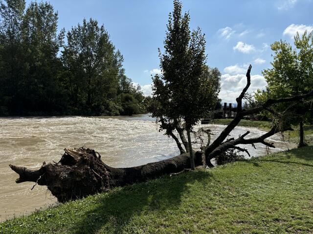 Foto: Martina Schweller