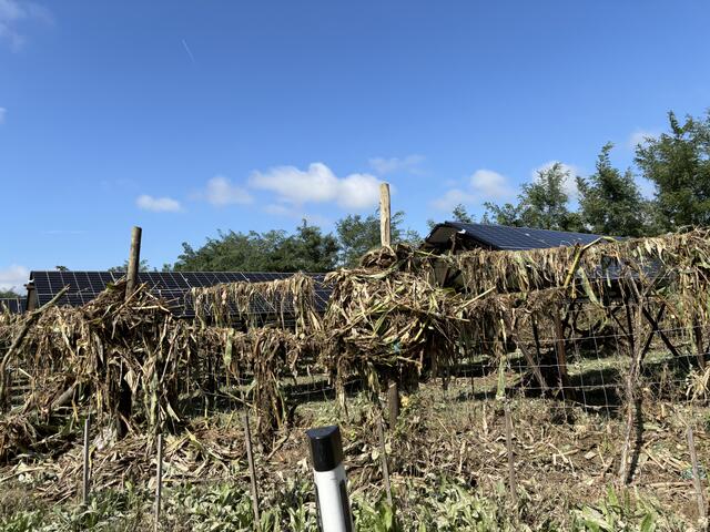 Foto: Martina Schweller