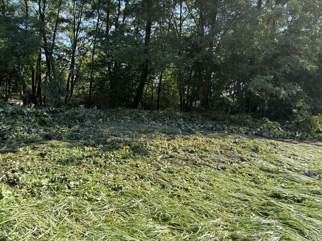 Foto: Martina Schweller