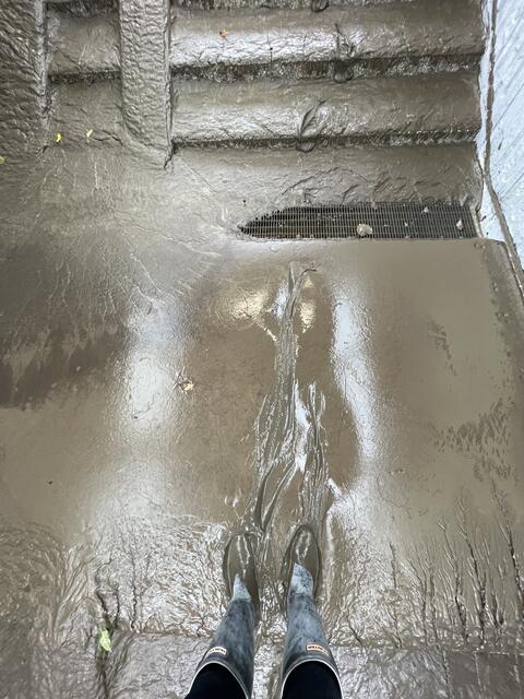 Foto: Stadtgemeinde Purkersdorf