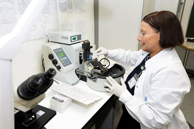 Annabella Knab bei der Arbeit im histologischen Labor. | Foto: MUI/D. Bullock