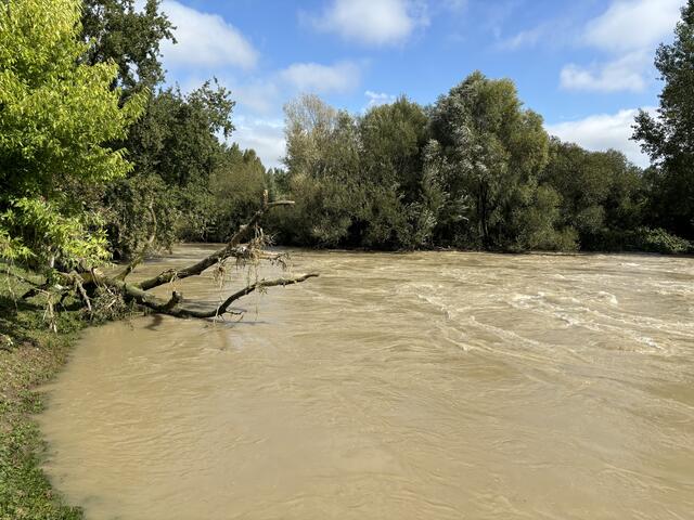 Foto: Martina Schweller