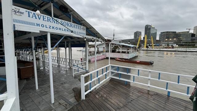 Während hier auf der Donauinsel das Wasser noch recht hoch steht, geht es am Wienfluss deutlich zurück. | Foto: Johannes Reiterits/MeinBezirk Wien