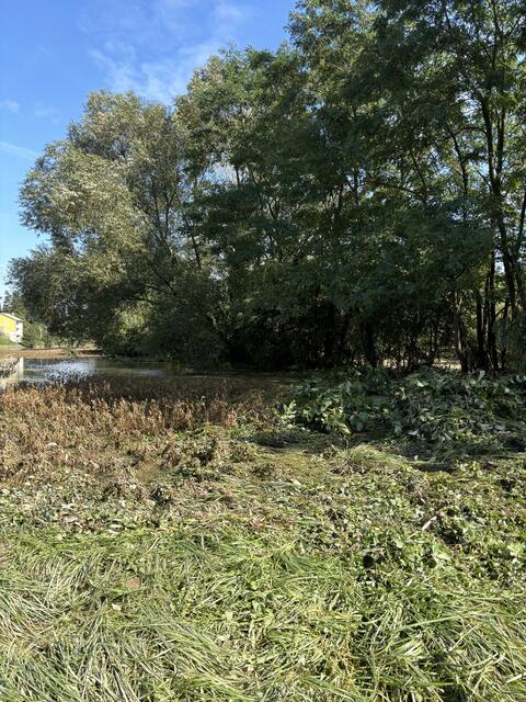 Foto: Martina Schweller