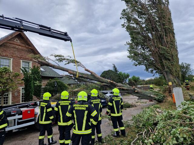Helfer aus den Feuerwehren Stegersbach, Güssing, Neuberg, Güttenbach und Sulz standen in Kottingbrunn im Assistenzeinsatz. | Foto: Bezirksfeuerwehrkommando Güssing