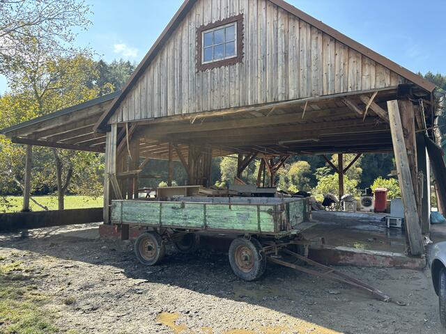 Foto: Martina Schweller