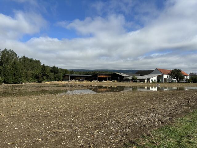 Foto: Martina Schweller