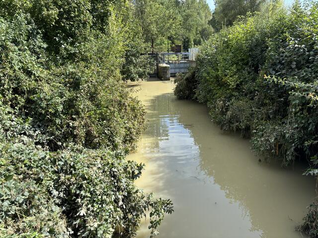 Foto: Martina Schweller