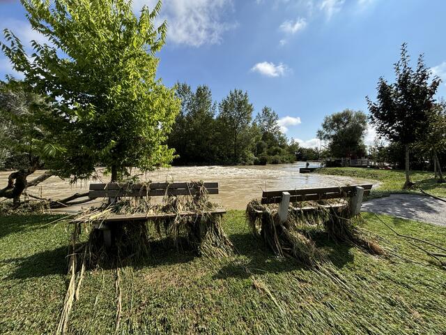 Foto: Martina Schweller