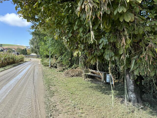 Foto: Martina Schweller