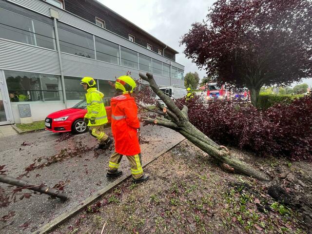 Foto: Freiwillige Feuerwehr Mistelbach-Stadt / Benjamin Hymer