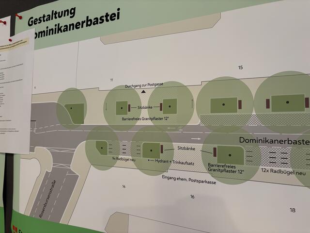 Große Baumkronen sollen in der Dominikanerbastei für Schatten sorgen. | Foto: Michael Marbacher/ MeinBezirk