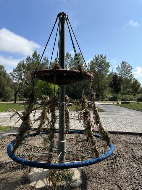 Foto: Martina Schweller