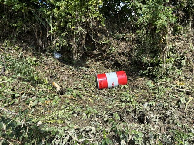 Foto: Martina Schweller