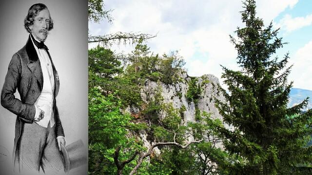 Aussichtspunkt =&gt; der Gipfelfelsen des Eselsteins, ... der sogenannte Baufelsen.
 | Foto: © Silvia Plischek