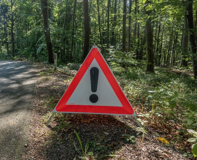 Österreichische Bundesforste warnen vor Waldbesuchen in Katastrophengebieten. | Foto: ÖBf