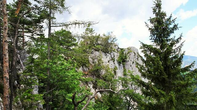 Vom Baufelsen aus plante und kontrollierte Carl Ritter von Ghega den Bau der Semmeringbahn durch den oberen und unteren Adlitzgraben auf den Semmering. 
 | Foto: © Silvia Plischek