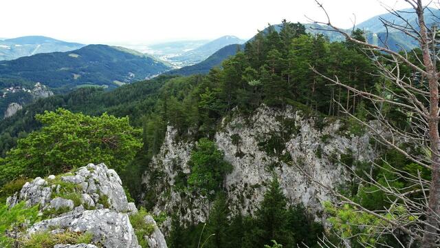 Am Aussichtspunkt Baufelsen-Eselstein (982 m ü.A.): 
Nach einem ersten Blick Richtung Klamm und Gloggnitz eröffnet sich ein weitreichendes 360°-Panorama, ein herrlicher Rundumblick ins Semmeringgebiet. ...
 | Foto: © Silvia Plischek
