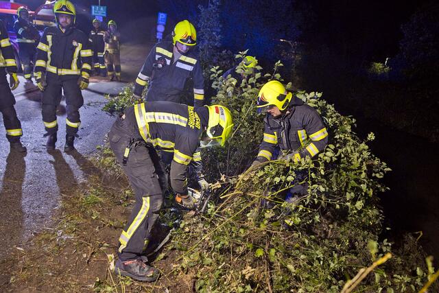 Gebüsch wird entfernt für die Bergung des Wagens. | Foto: BFKDO BADEN / Stefan Schneider