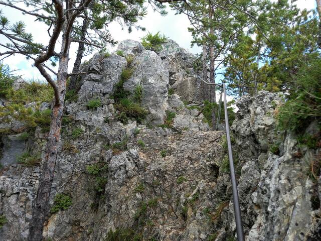 ... gelangt man zum felsigen Aufstieg auf den Hauptgipfel. ... Eine am Felsen angebrachte Versicherung dient hier als Kletterhilfe. ...
 | Foto: © Silvia Plischek