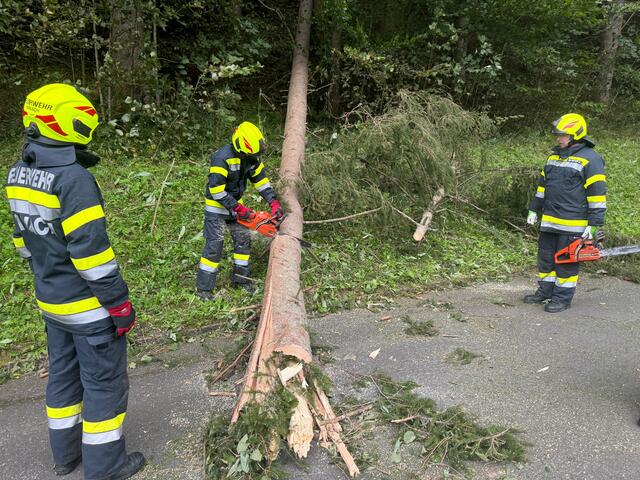 Foto: Patrick Marcher, FF-Kainach