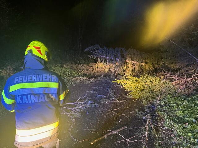 zahlreiche Bäume wurden aufgrund des Sturmes entwurzelt und fielen auf die Straße. | Foto: Patrick Marcher, FF-Kainach