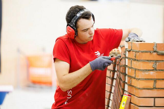 Niederösterreichs Lehrlinge können mit den besten locker mithalten. Bei der World Skills in Lyon im September räumten der heimische Berufsnachwuchs kräftig ab.  | Foto: SkillsAustria/MaxSlovencik/Florian Wieser